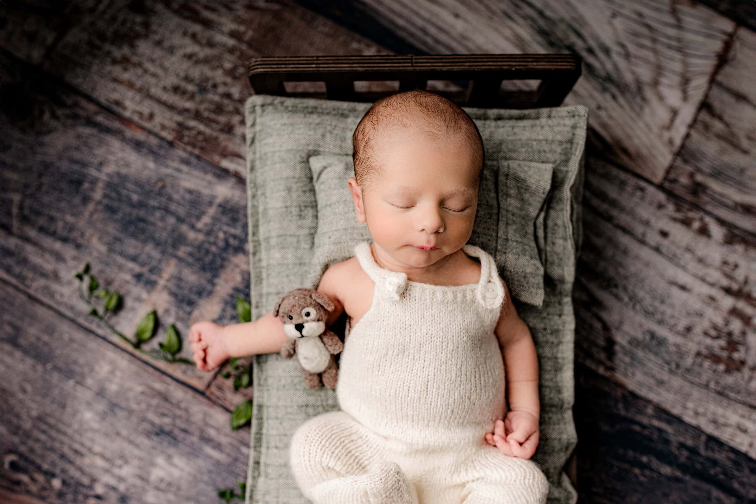 little newborn boy posed on a newborn bed during his photoshoot in the waxhaw nc studio with a stuffed puppy beside him