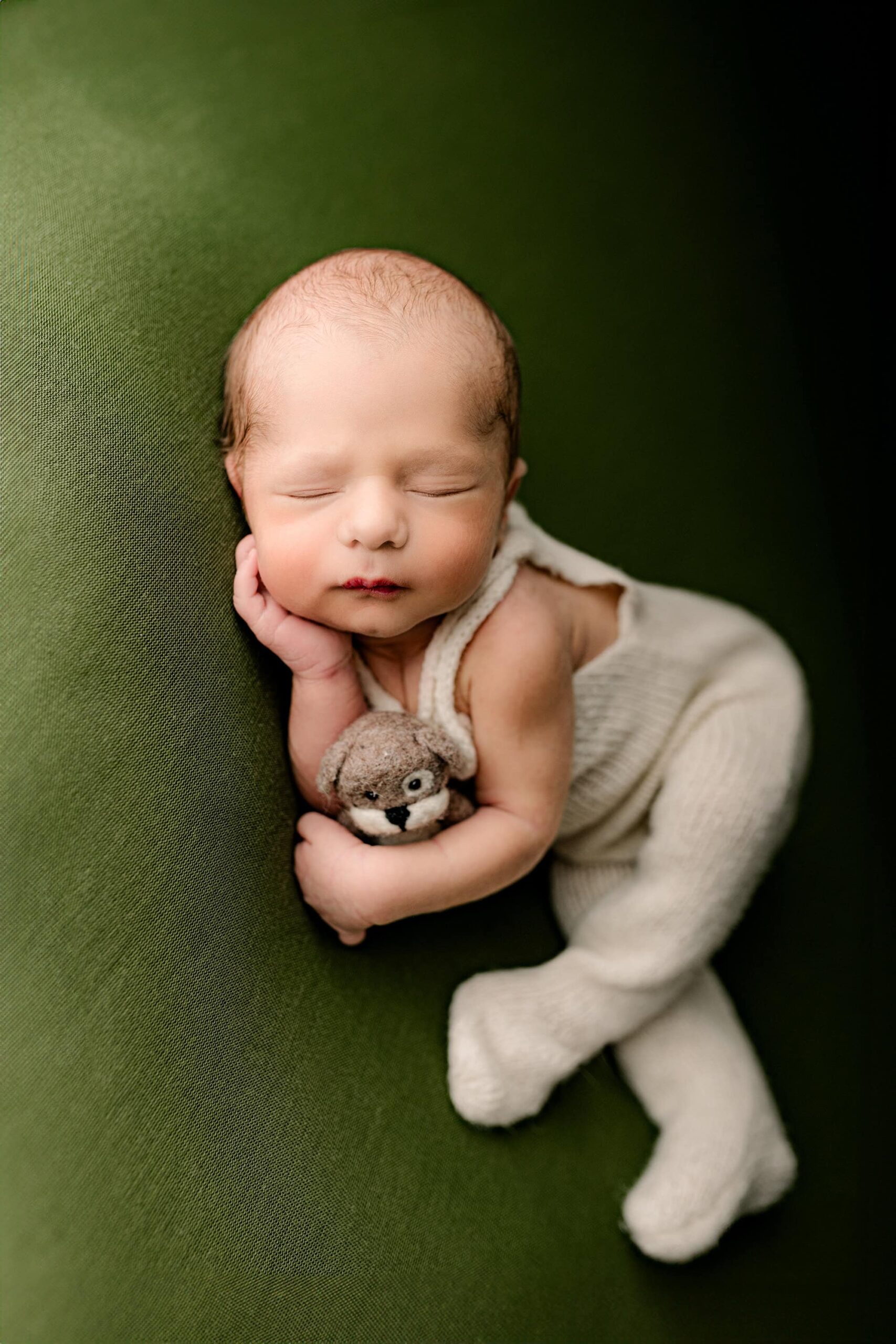 with his hand gently under his cheek this newborn baby boy sleeps soundly during his newborn photography session while snuggling a little felted puppy in his other arm