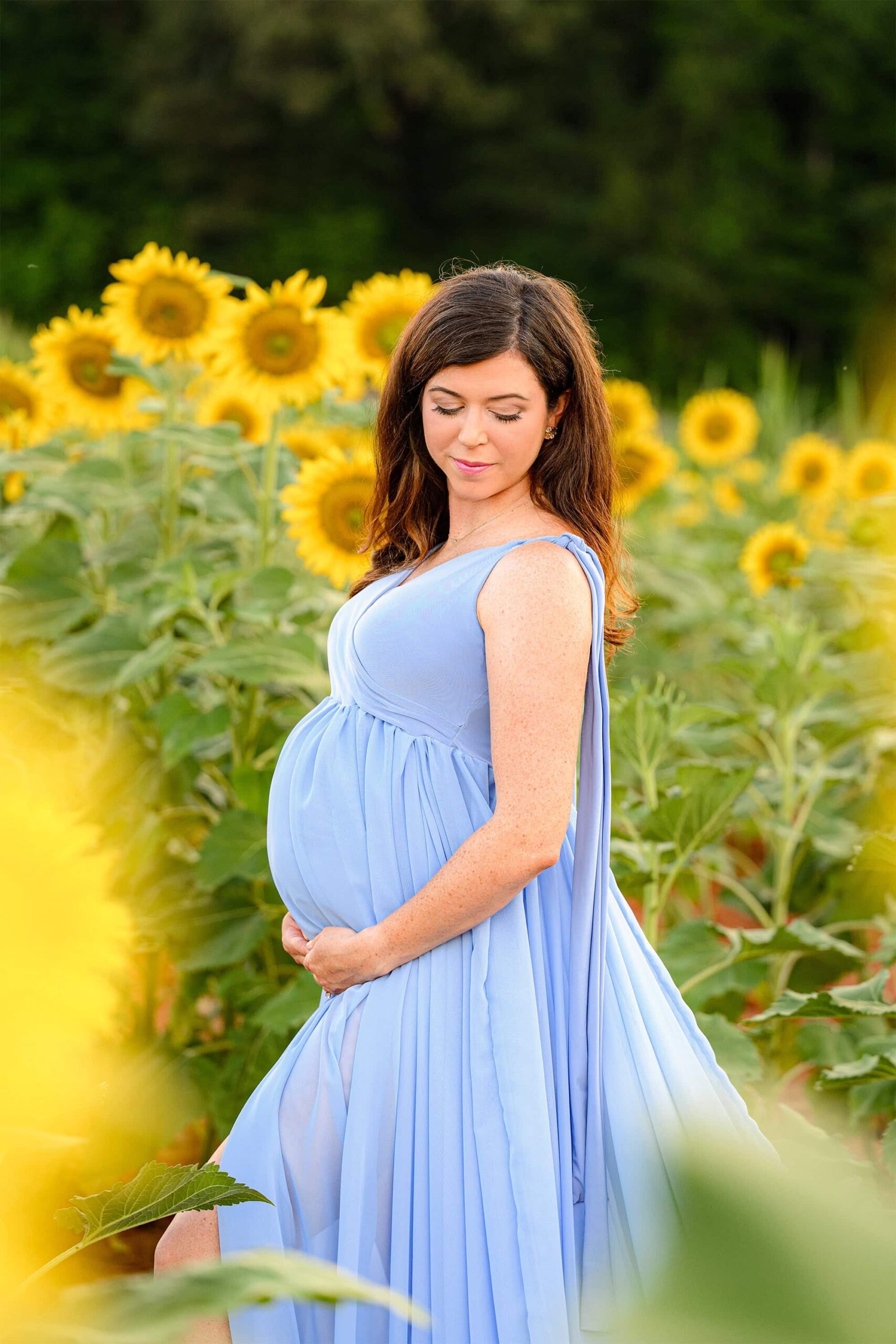 blue maternity photoshoot dress on an charlotte nc area mom to be surrounded by sunflowers.