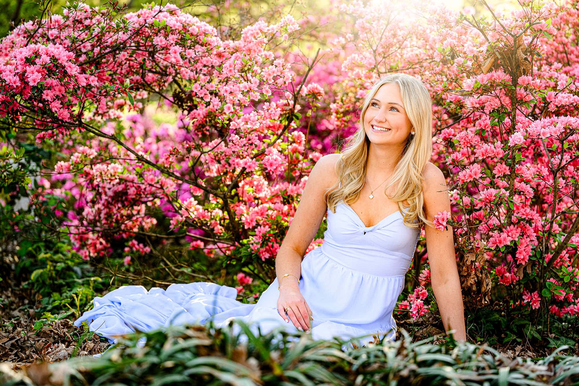 pink blooms surround this charlotte graduate wearing a blue dress 
in the spring