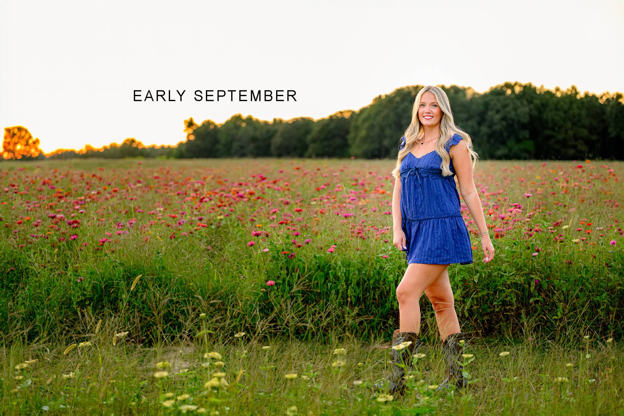 early september seasonal senior session with graduate in blue dress and pink flower field