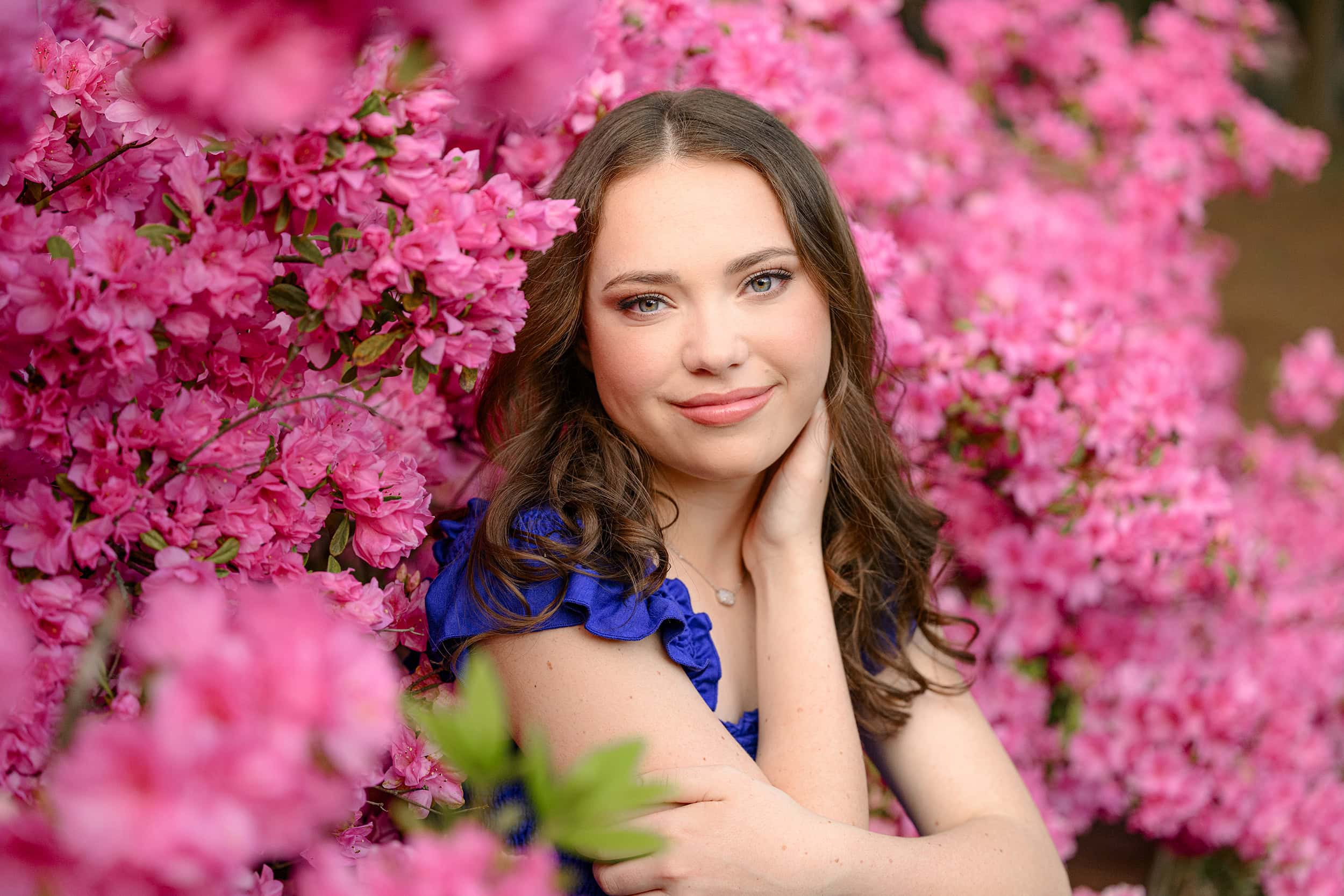 early spring planning delivered excellent contrast for this brown hair cuthbertson high school grad wearing royal blue and sitting amongst bright pink flowers
