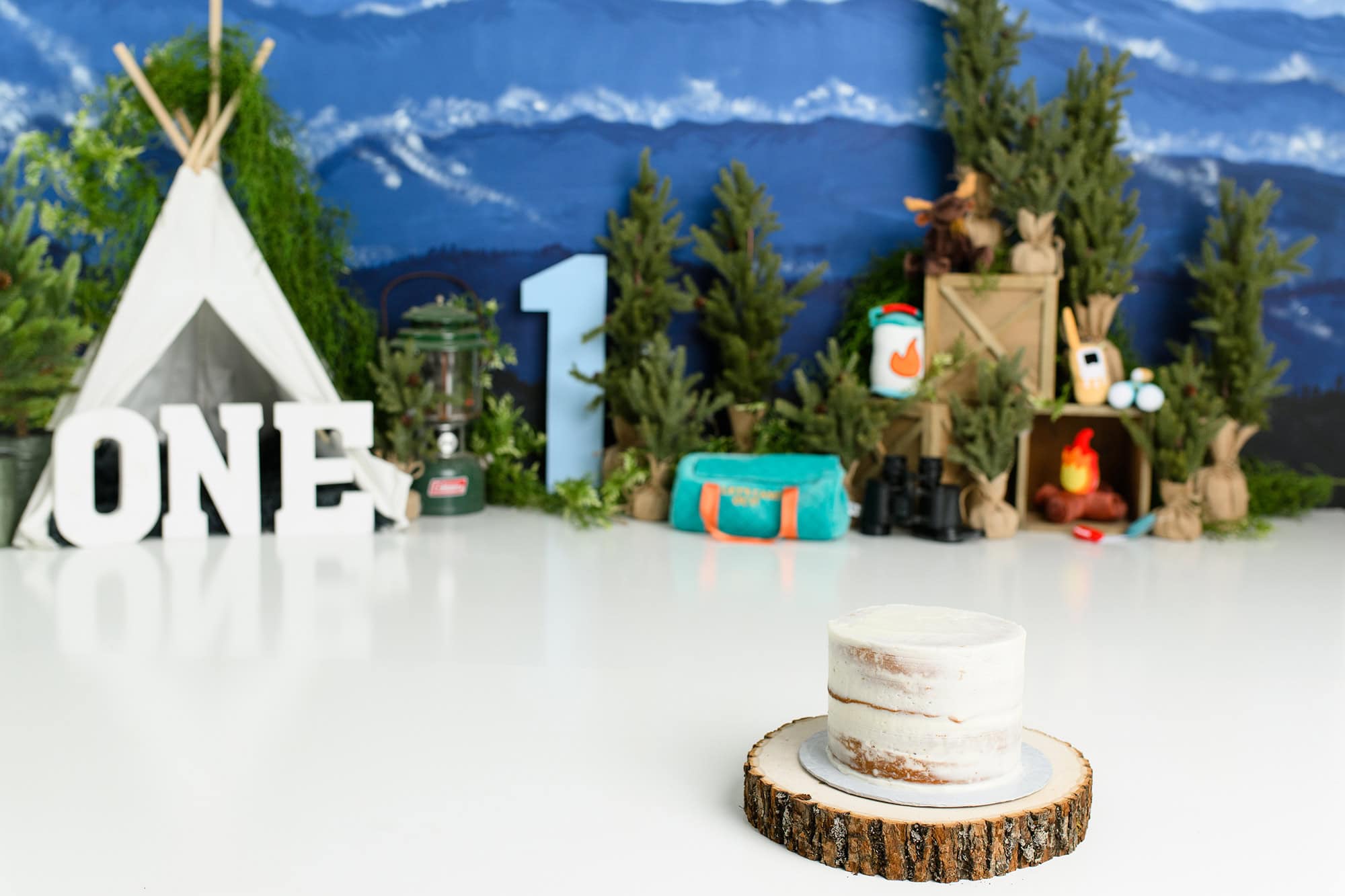 themed cake smash for one year old charlotte birthday celebration