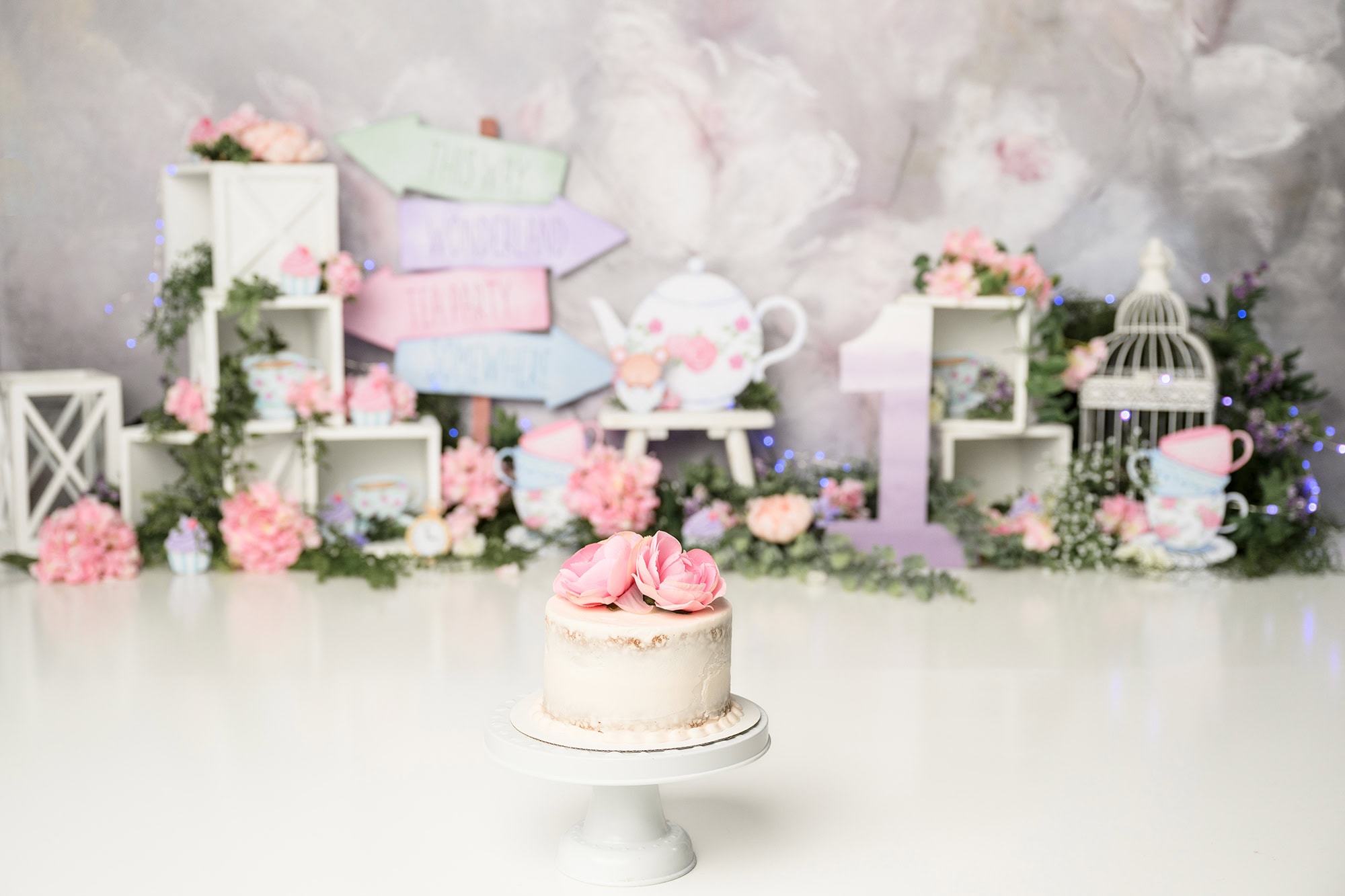 Alice in ONEderland cake smash theme custom set up for birthday milestone