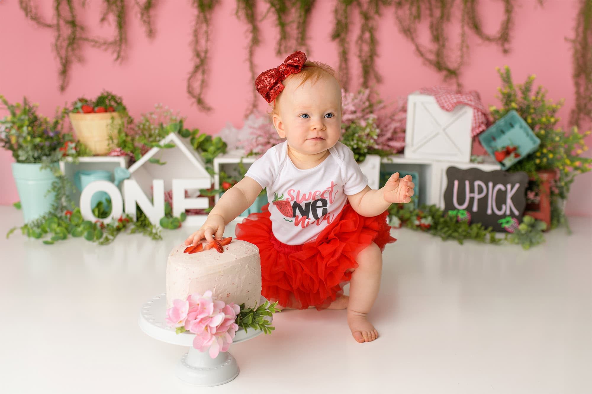 Berry First Birthday Cake Smash theme idea for a charlotte area one year old celebration