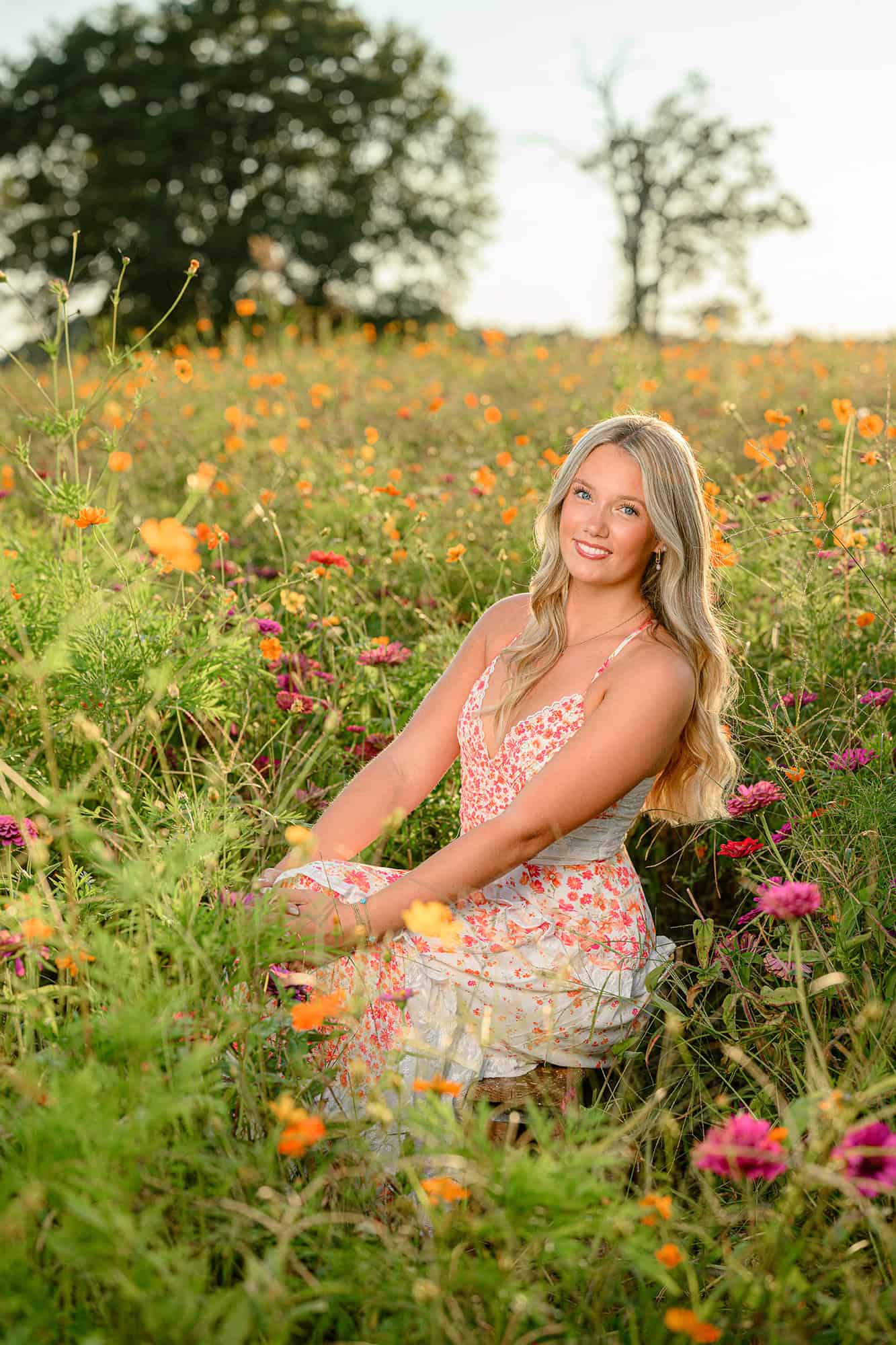 high school graduate sitting in charlotte wildflower field