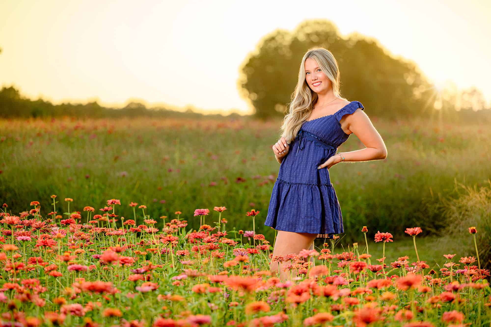 golden light behind a blonde grad in a pink zinnia field