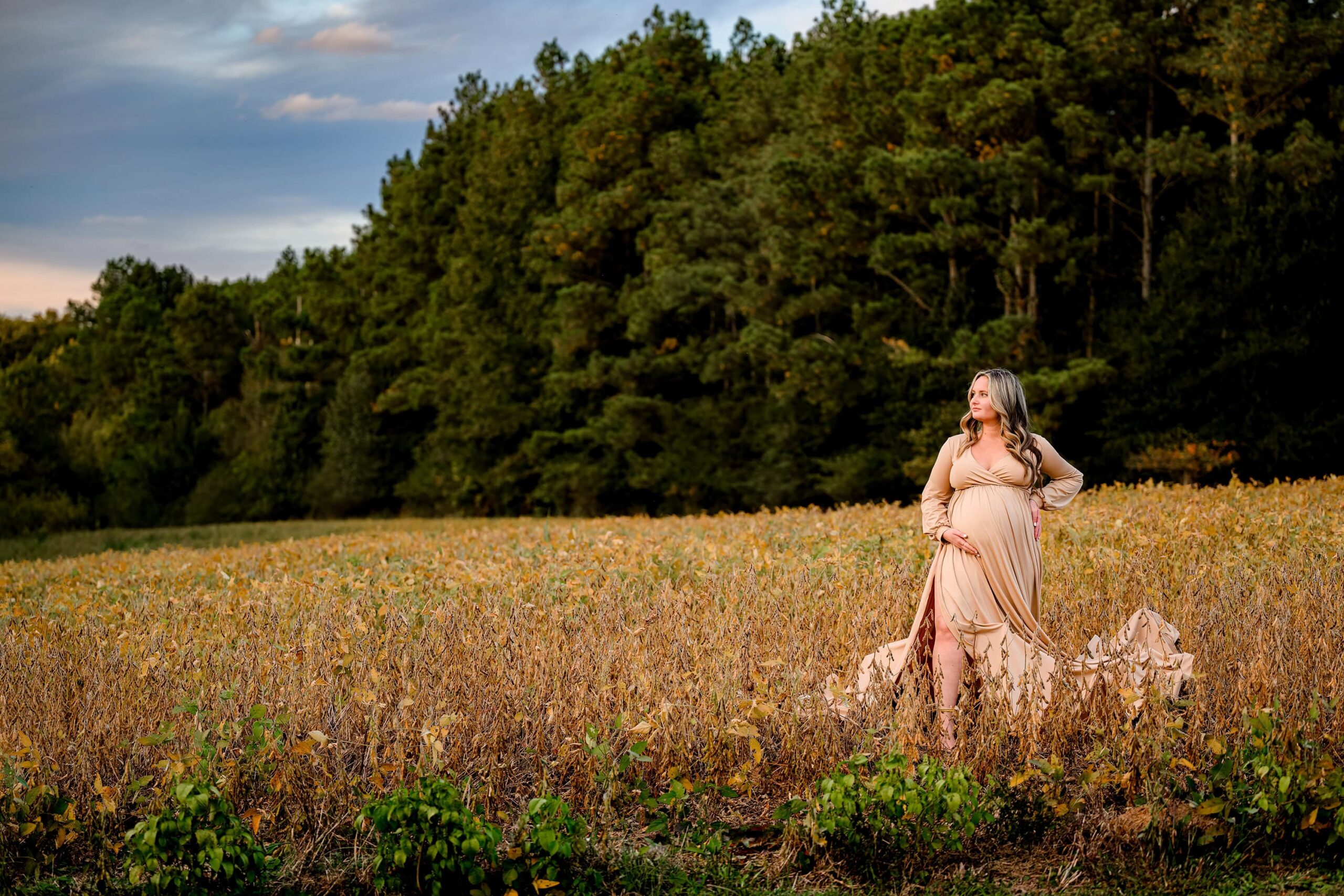 Waxhaw area mom to be standing in a field in a neutral colored dress with a dramatic sky in the background.